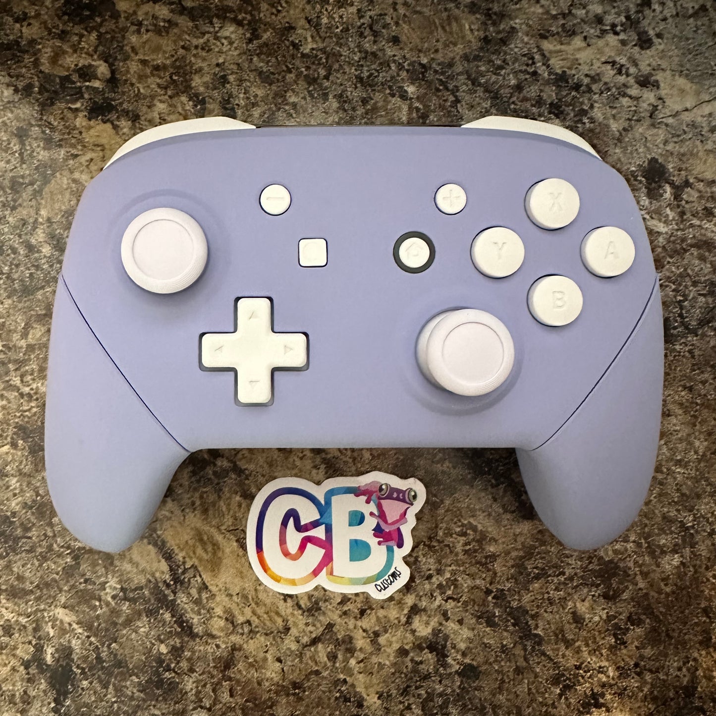 Violet & White Pro Controller - Custom Nintendo Switch Pro Controller